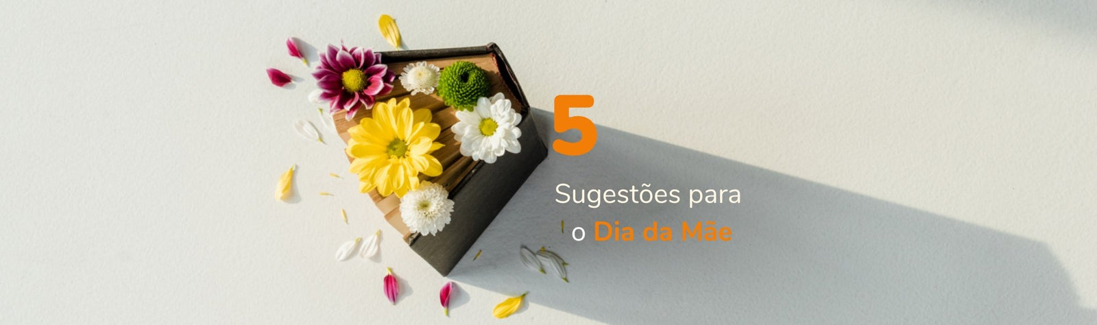 5 sugestões de livros para a melhor mãe do mundo, a sua! - Alma dos Livros