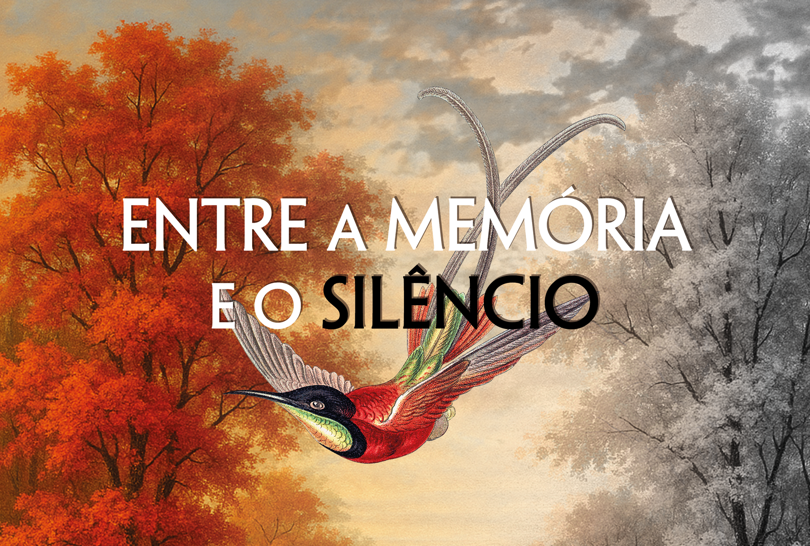 Entre a memória e o silêncio