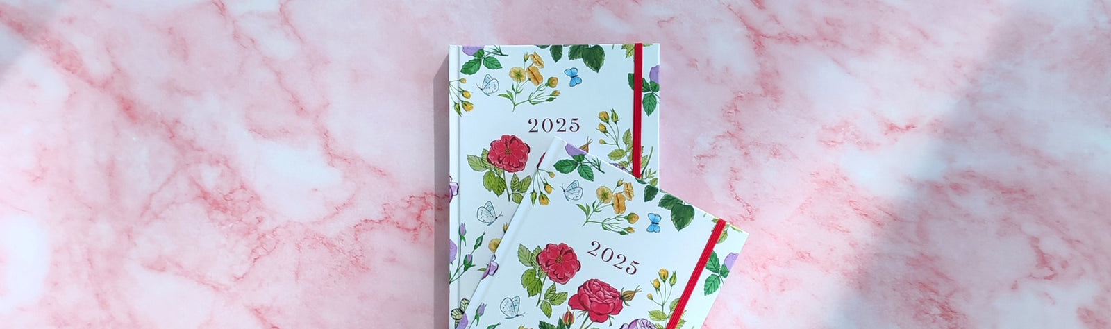 Agenda Semanal para 2025 - 100% nacional - Alma dos Livros