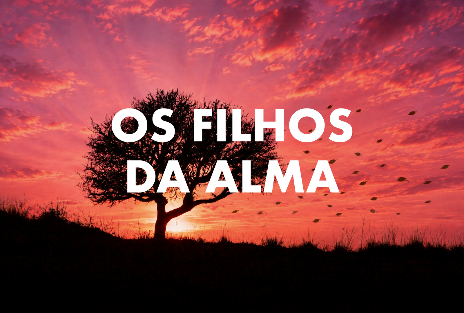 Os filhos da Alma