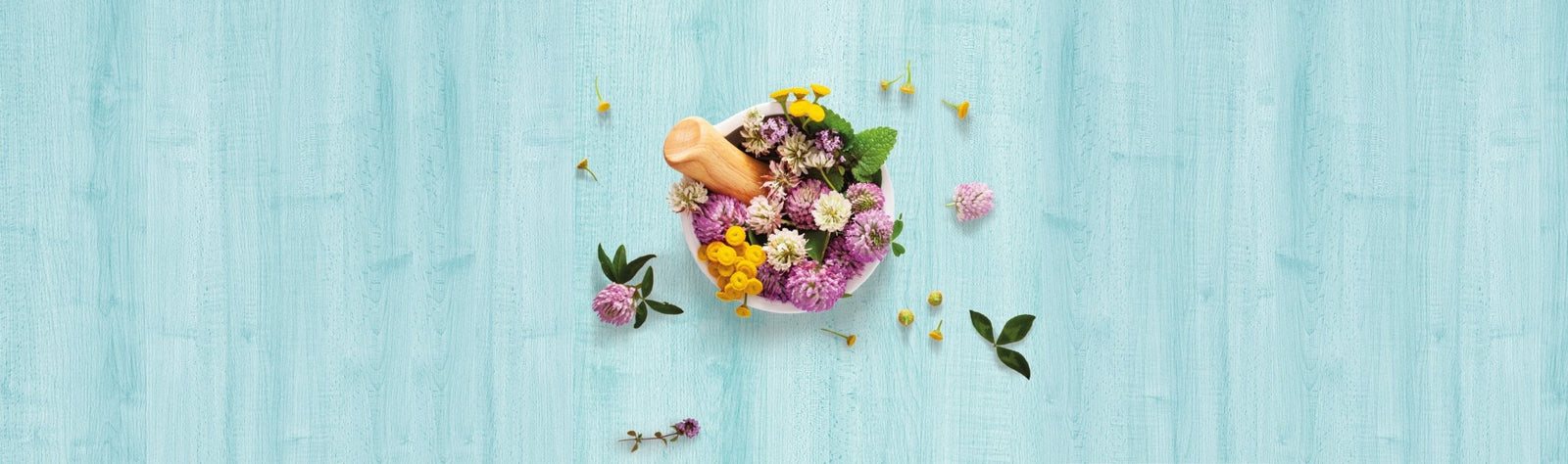 Óleos essenciais: os benefícios da aromaterapia. - Alma dos Livros