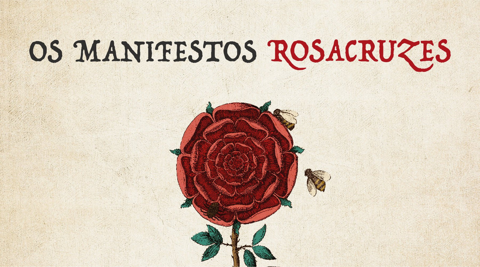 Uma tradição secreta com mais de 400 anos de História - Alma dos Livros