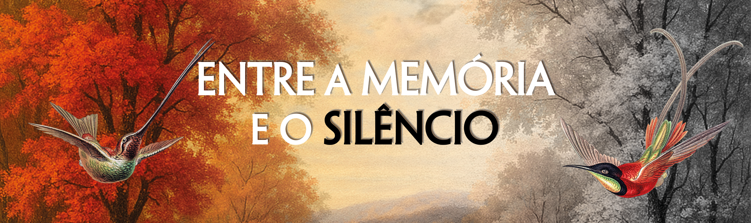Entre a memória e o silêncio