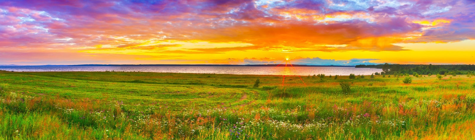 12 frases inspiradoras que te vão fortalecer - Alma dos Livros