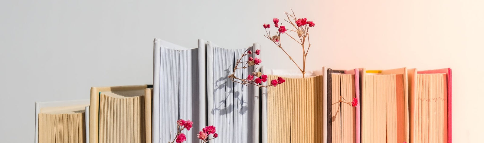 20 frases inspiradoras para o seu dia a dia - Alma dos Livros