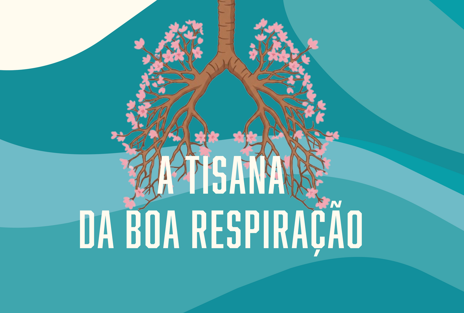 A tisana da boa respiração