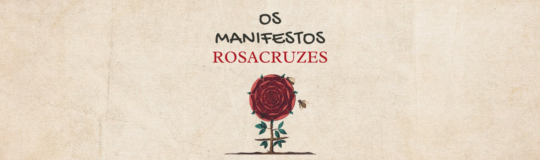 Descubra a ligação entre os Manifestos Rosacruzes e a Declaração Universal dos Direitos do Homem. - Alma dos Livros