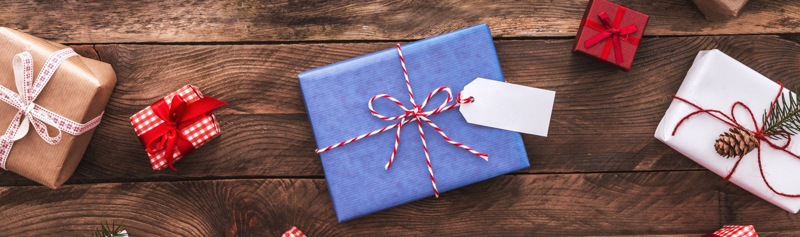 Este Natal, ofereça livros. 10 sugestões para toda a família. - Alma dos Livros