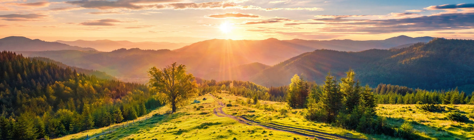 Somos todos peregrinos.  Três sinais que mostram que esta leitura é para si. - Alma dos Livros