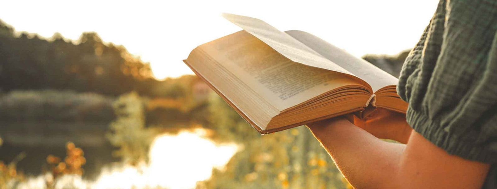Ficção Literária - Alma dos Livros