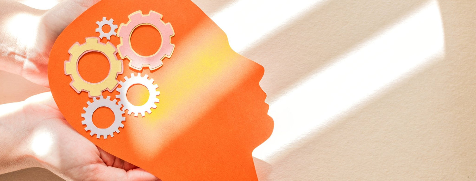 Psicologia - Alma dos Livros