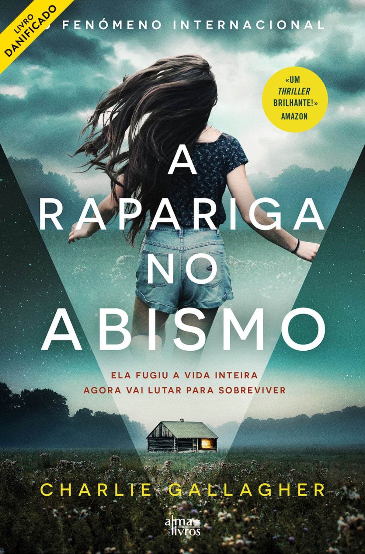 A Rapariga no Abismo (daniificado)