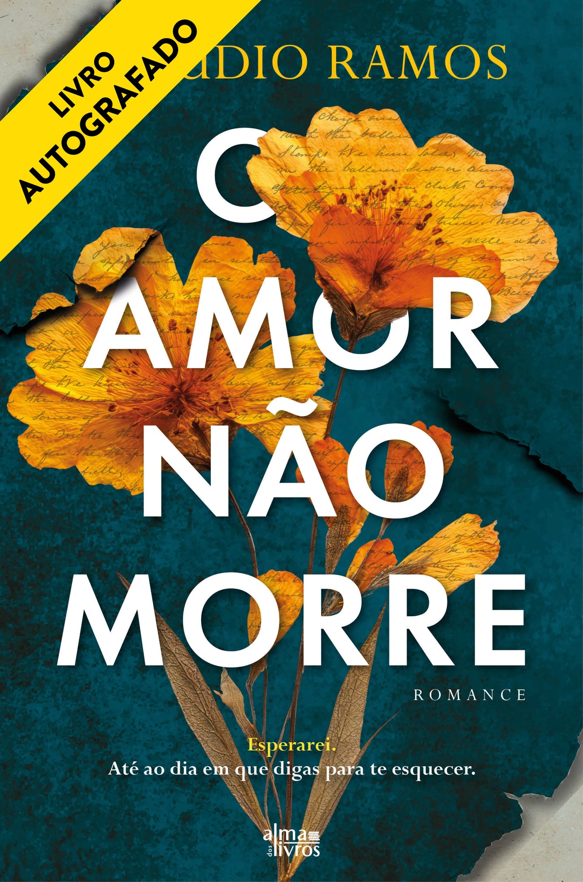 O Amor Não Morre