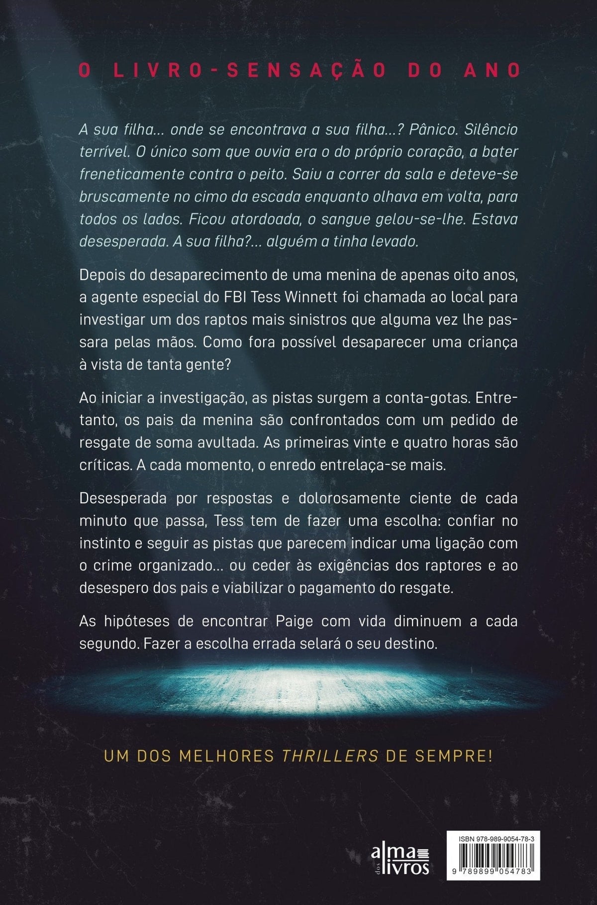 A Rapariga que Desapareceu (danificado) - Alma dos Livros