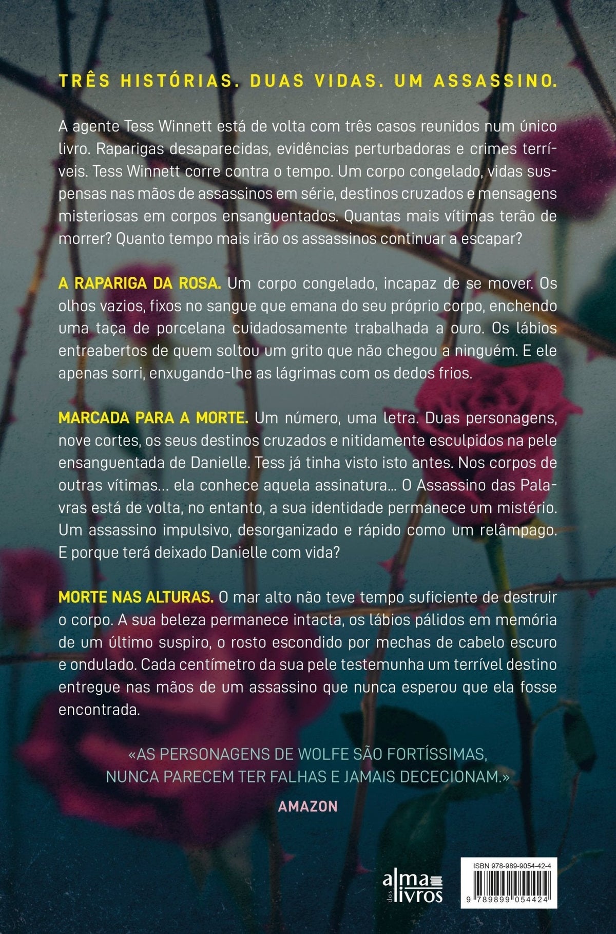 A Rapariga da Rosa (danificado) - Alma dos Livros