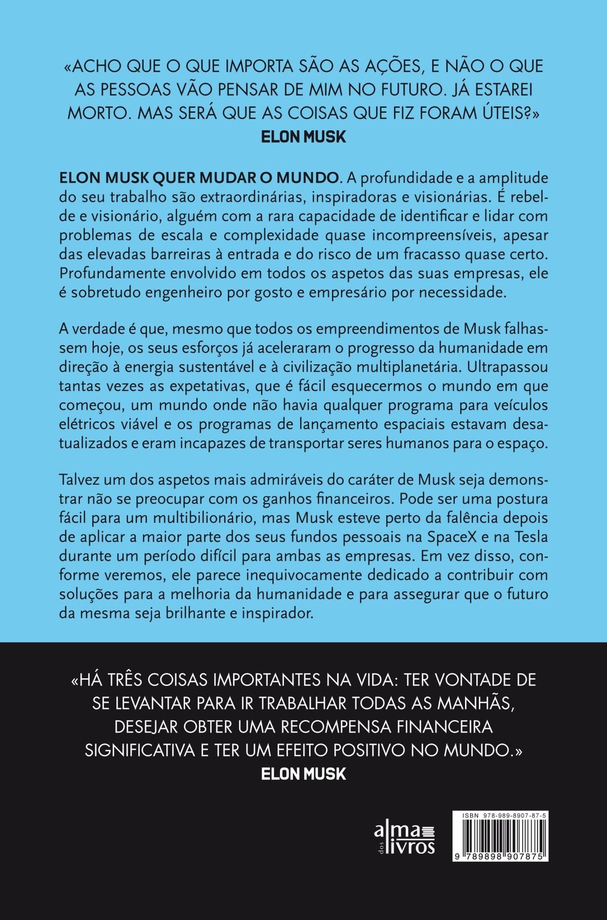 Elon Musk: Homem de Ferro (danificado)