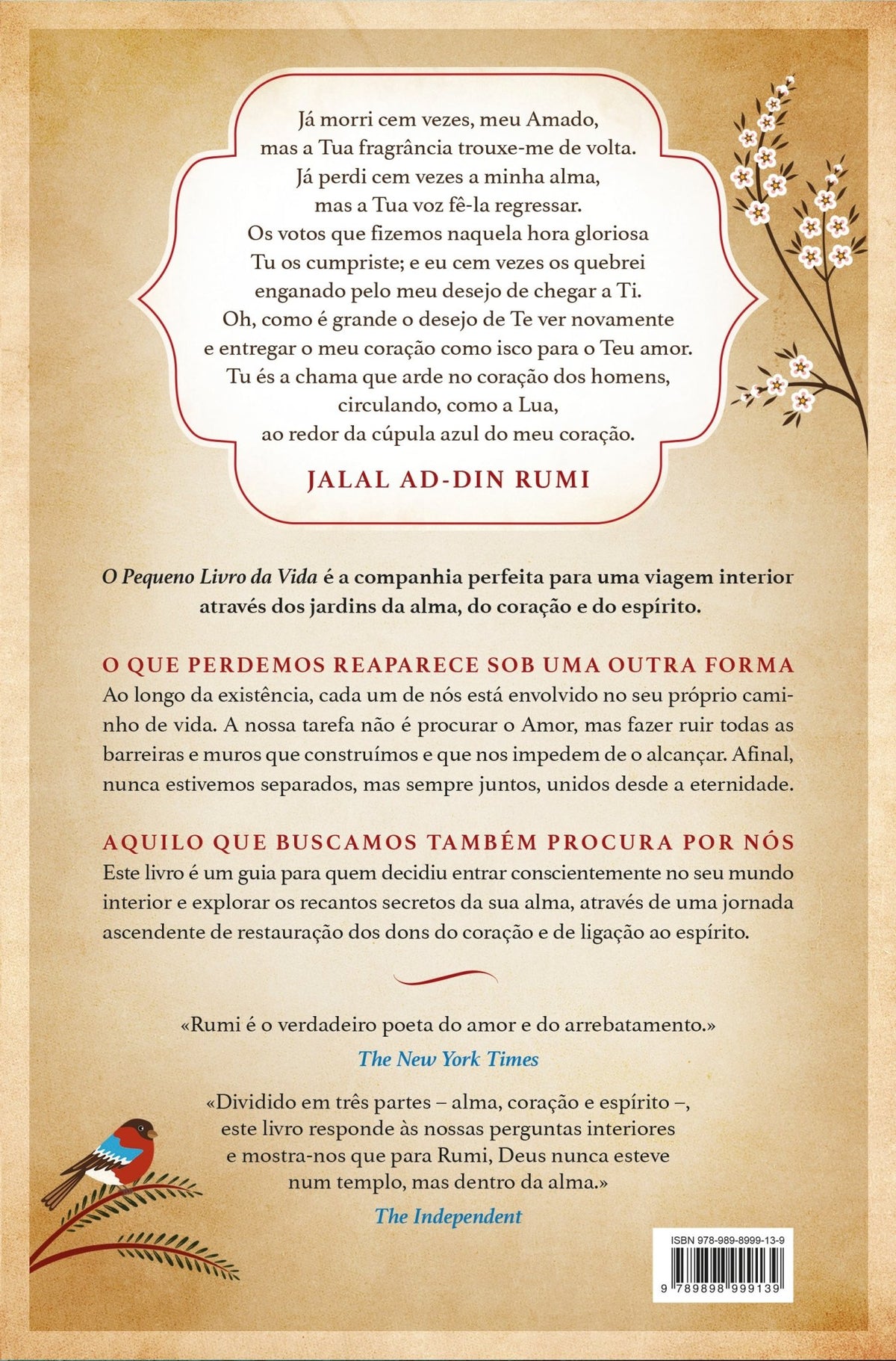 O Pequeno Livro da Vida (Danificado) - Alma dos livros