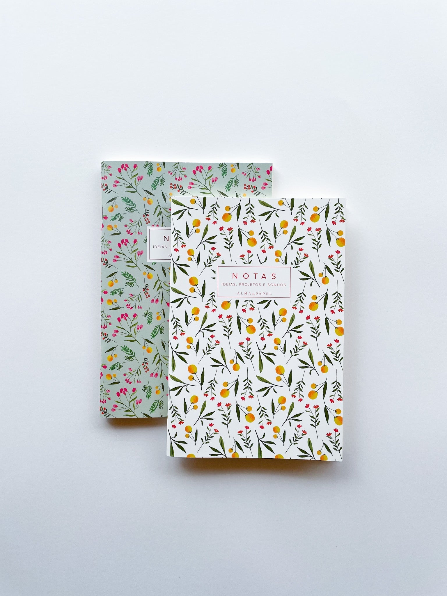 Pack 2 Cadernos A5 - Alma dos livros